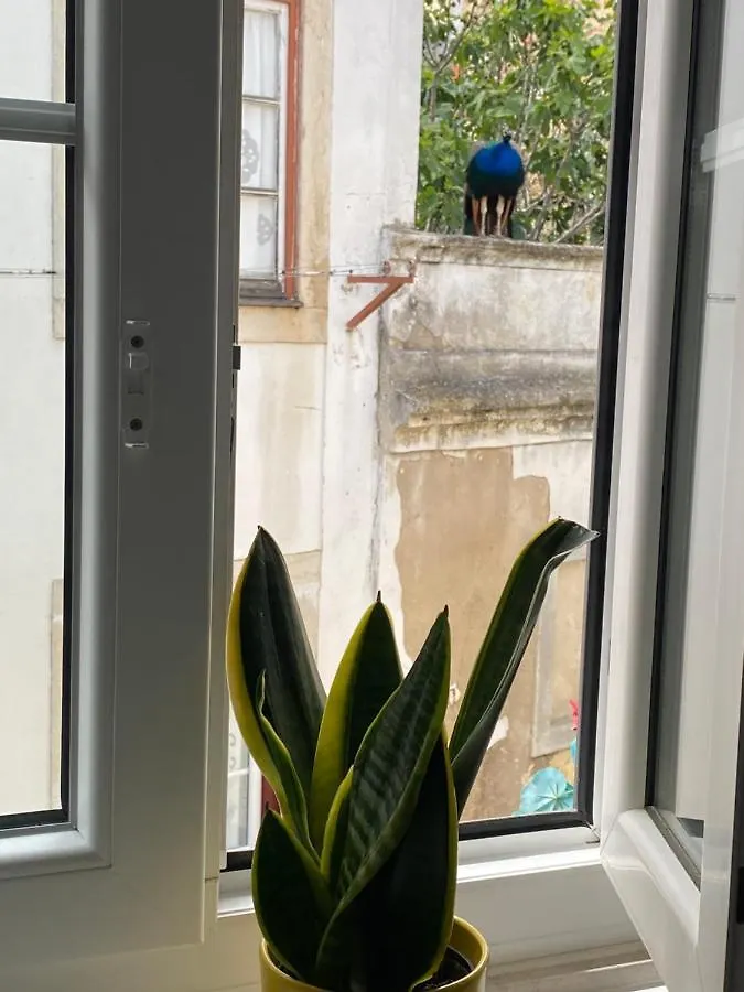 Castle Inn Lisbon Apartments
